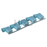 250 Terminals mit weiblicher Flagge 